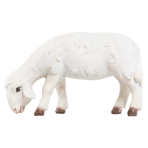 Schaf grasend (Esche) Schaf grasend (Esche)