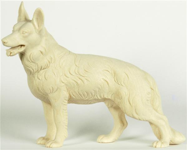 Schäferhund Schäferhund