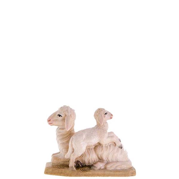 Schaf mit Lamm Schaf mit Lamm