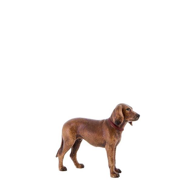Jagdhund Jagdhund