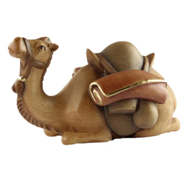 Kamel liegend