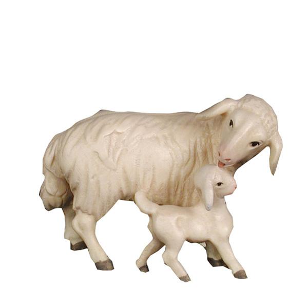 Schaf mit Lamm Schaf mit Lamm