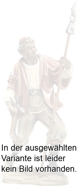 Elefantentreiber