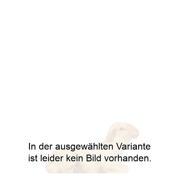 Schaf liegend