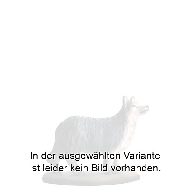 Hund