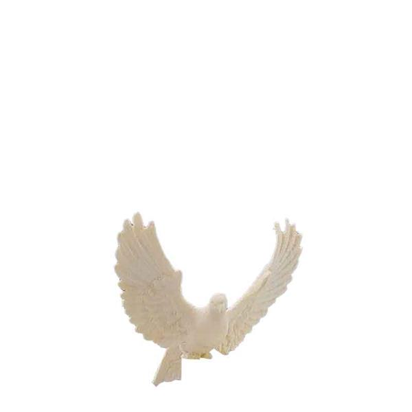 Taube mit Schwanz nach unten Taube mit Schwanz nach unten