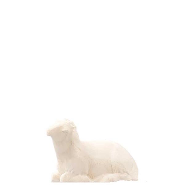 Schaf liegend Schaf liegend