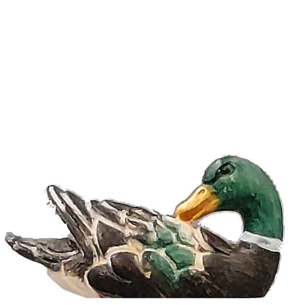 Ente schwimmend - Kopf hinten Ente schwimmend - Kopf hinten