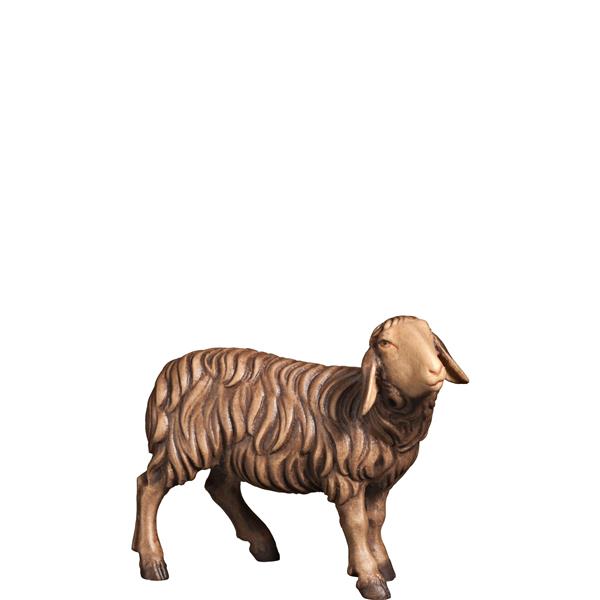 Schaf rechtsschauend SCHWARZ Schaf rechtsschauend SCHWARZ