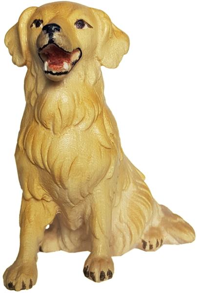 Golden Retriever sitzend