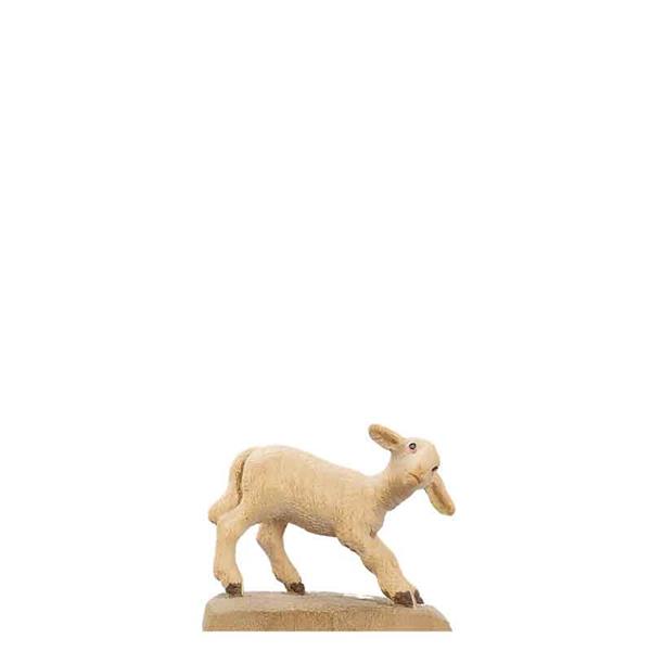 Lamm stehend Lamm stehend