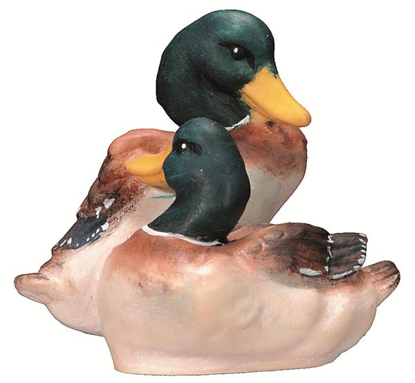 Entenpaar Entenpaar