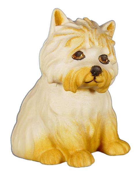 Terrier Terrier