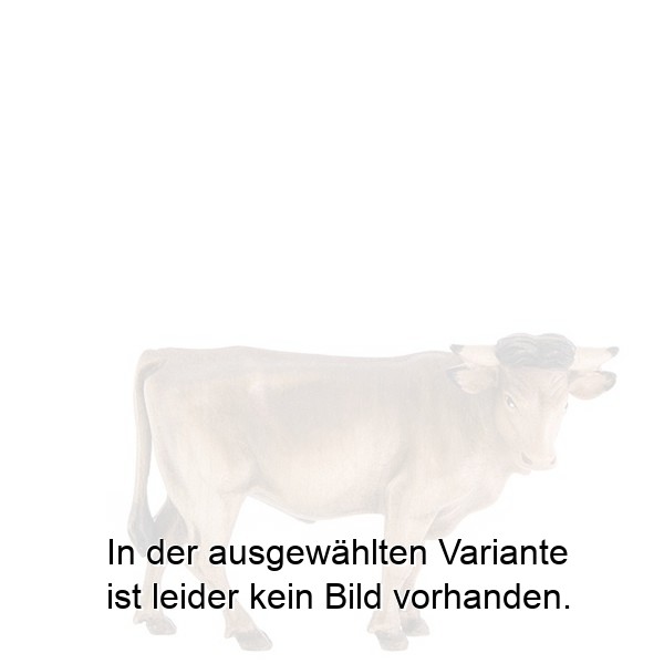 Ochs stehend Ochs stehend