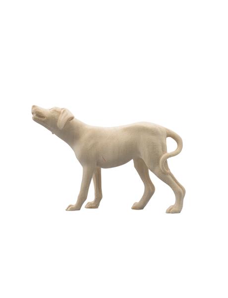 Hund Pointer Hund Pointer