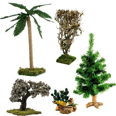 Palmen und Bäume